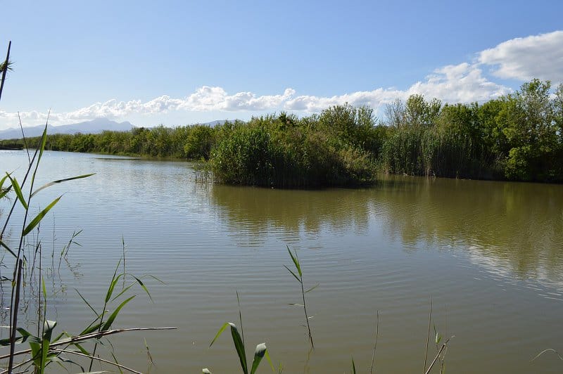 things to see in Majorca