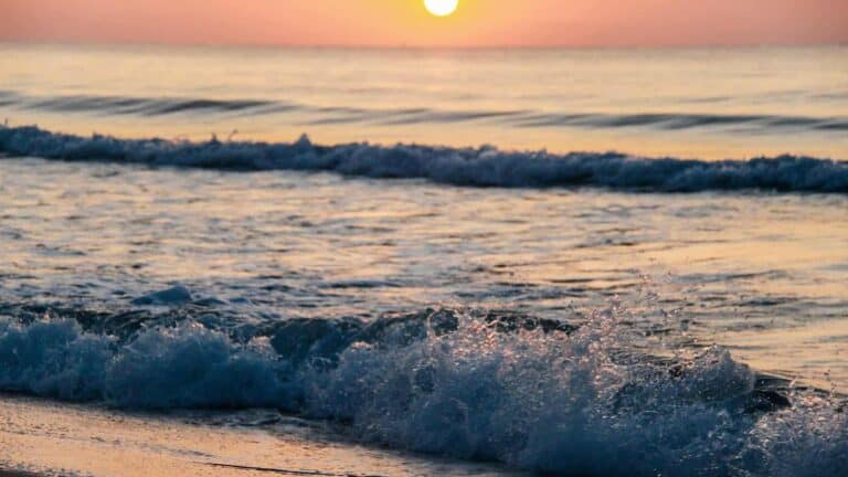 Events mallorca 398 Teambuilding Mallorca