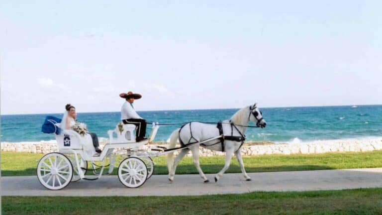 Wedding 108 Hochzeit Mallorca